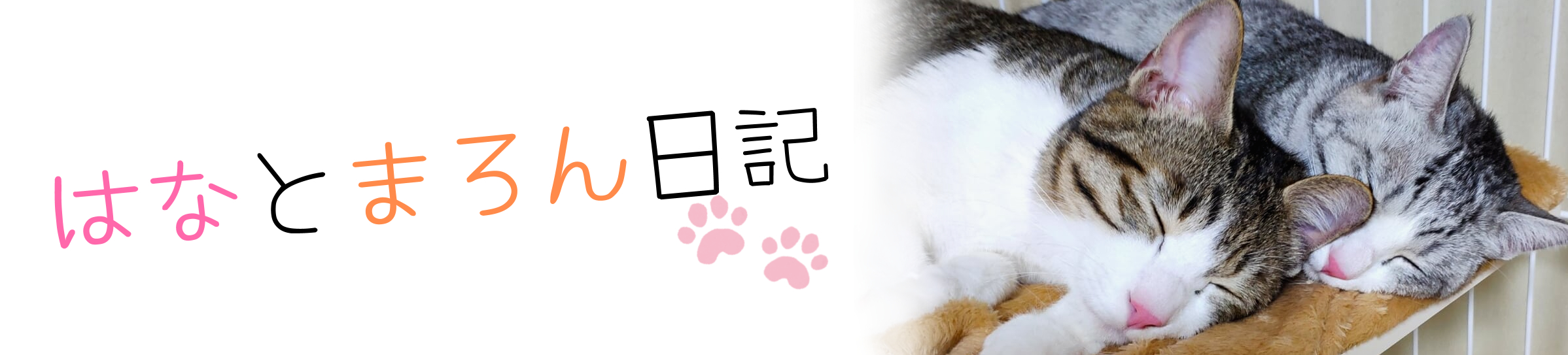 はなとまろん日記